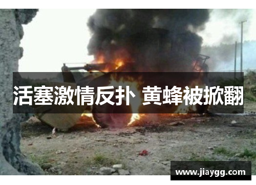 活塞激情反扑 黄蜂被掀翻